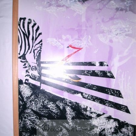 K-pyr18 Pyroquimia Alfabetika Z - zebra